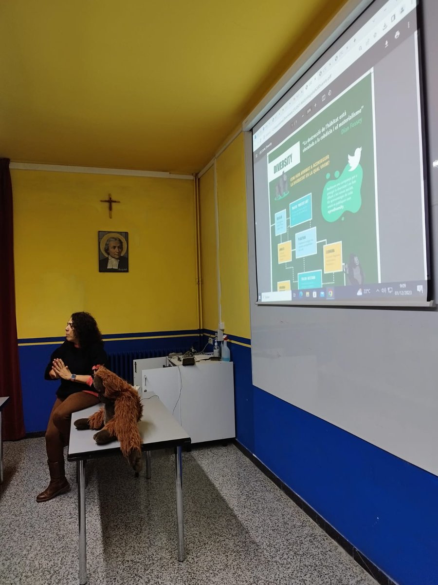 La Salle La Seu tweet media