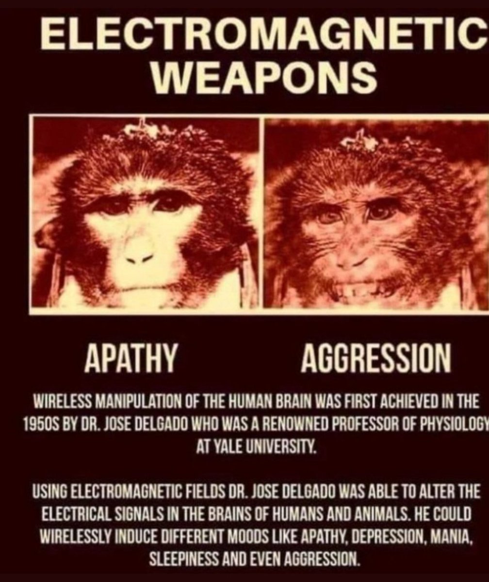 FarhanCOBRA's tweet photo. Dr. Jose Delgado understood from his experiments that different directed frequencies invoke different human responses. Deployed as weapons against us through the airwaves the same way we receive our digital information?
Used to influence our behaviour?
#Radionics https://t.co/KthhxkNoG8