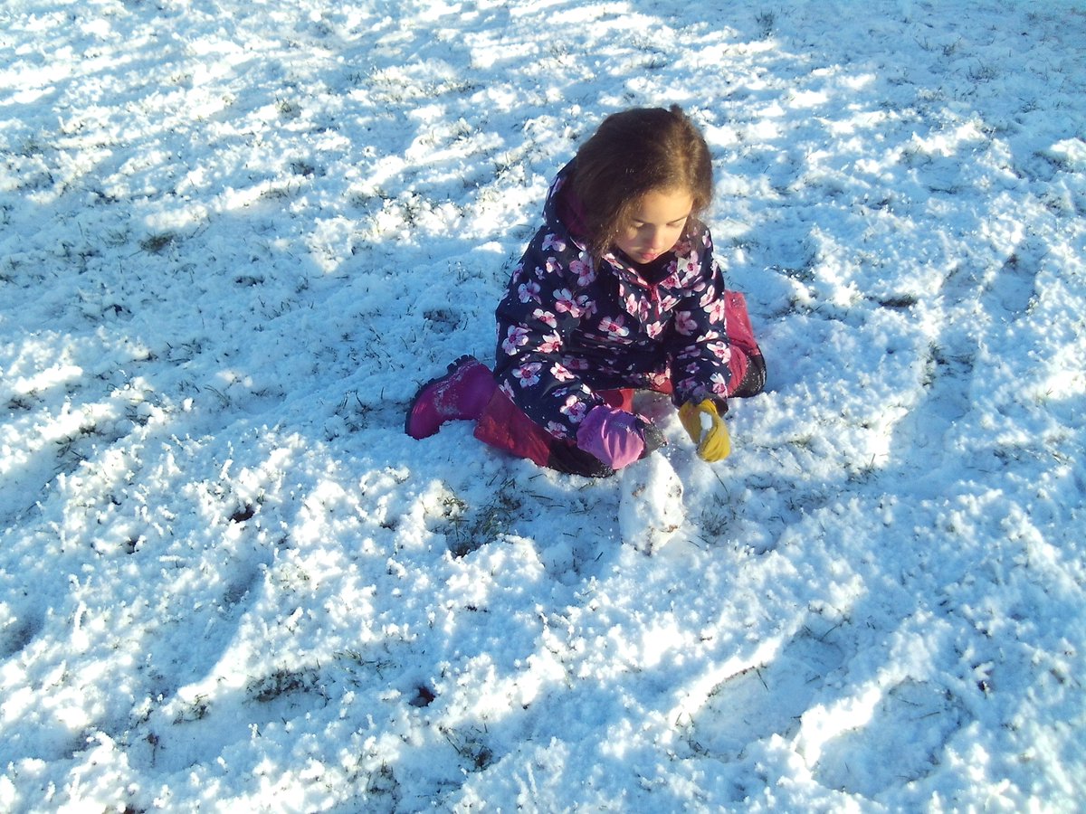 Stenton Primary tweet media