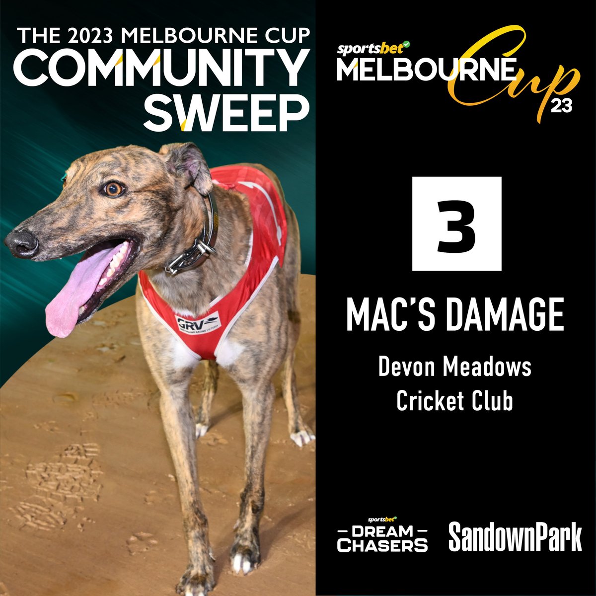 DMCCPanthers's tweet image. We're excited to be part of the 2023 Melbourne Cup Community Sweep at @sandowndogs!

We have Mac's Damage running for us in the Cup - if he wins we win so make sure you get behind him tonight!

The Melbourne Cup is race 10, jumping at 9.50pm tonight.