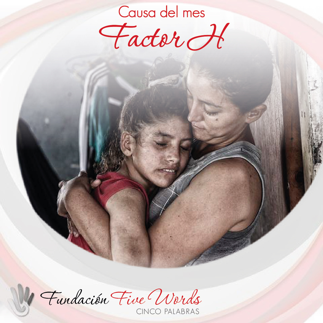 5palabras5's tweet photo. FACTOR-H, organización humanitaria en L.A, trabaja para apoyar a afectados por la enfermedad de Huntington en latam. 🤝💪Únete a Fundación Cinco Palabras en nuestra causa de diciembre. ❤️❤️#FactorH #causa https://t.co/PKtmRKdvoV https://t.co/xGULKMHWyX