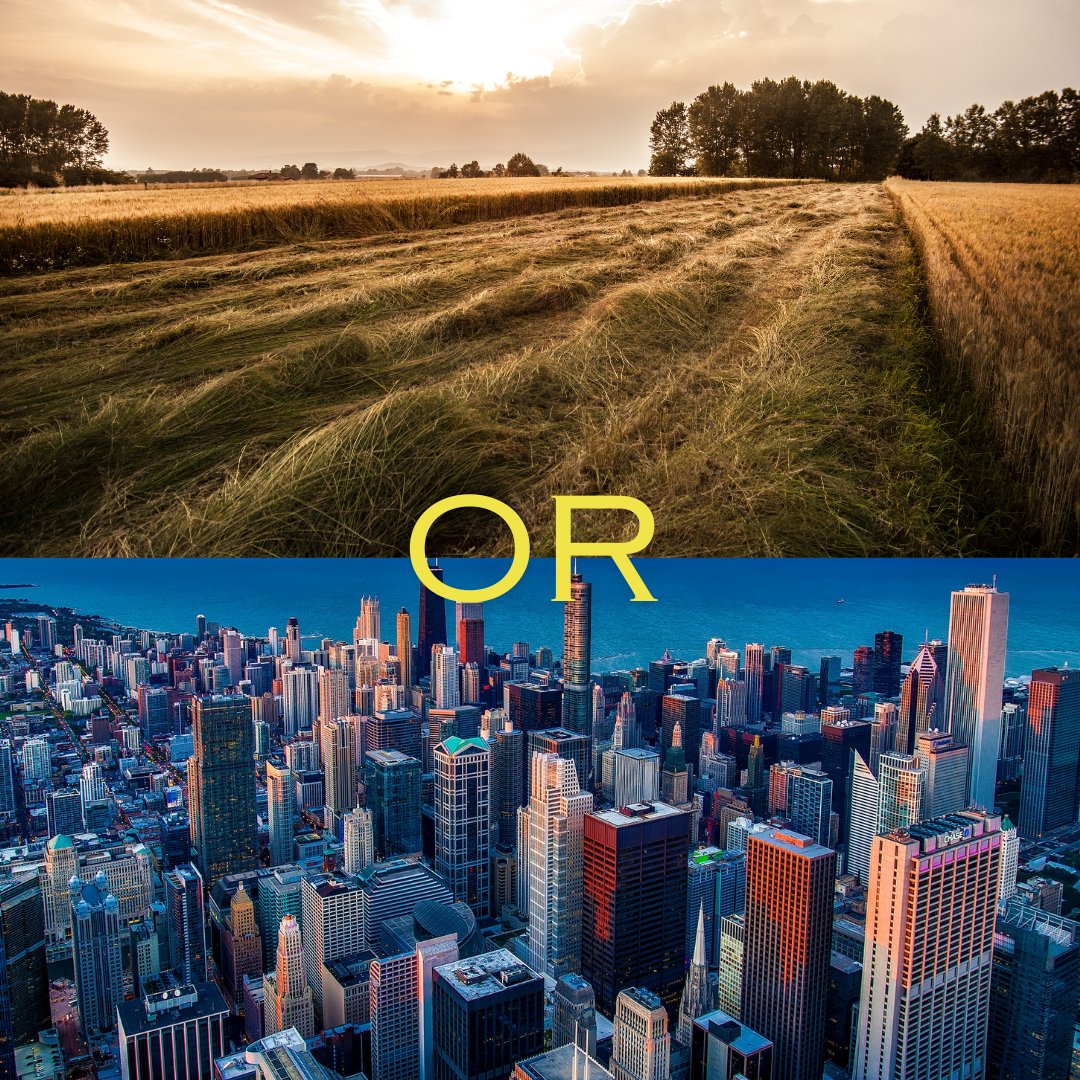 Which do you prefer? The city or the country?

#cityorcountry #whichone #QuestionOfTheDay