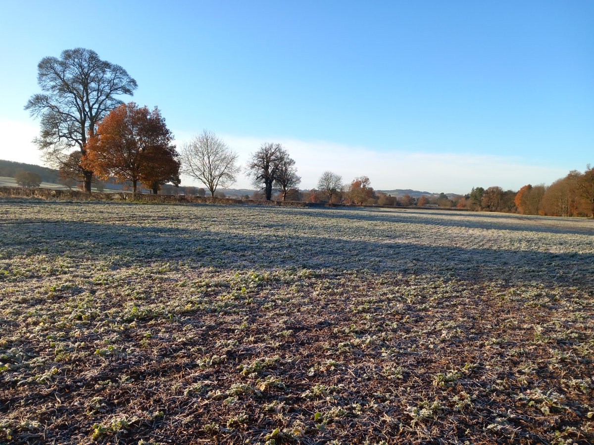 IsabelleSimsPhD's tweet image. Out sampling this week for the @DefraSurvey  a bit cold at times but met some friendly horses ❄️🐎🌱