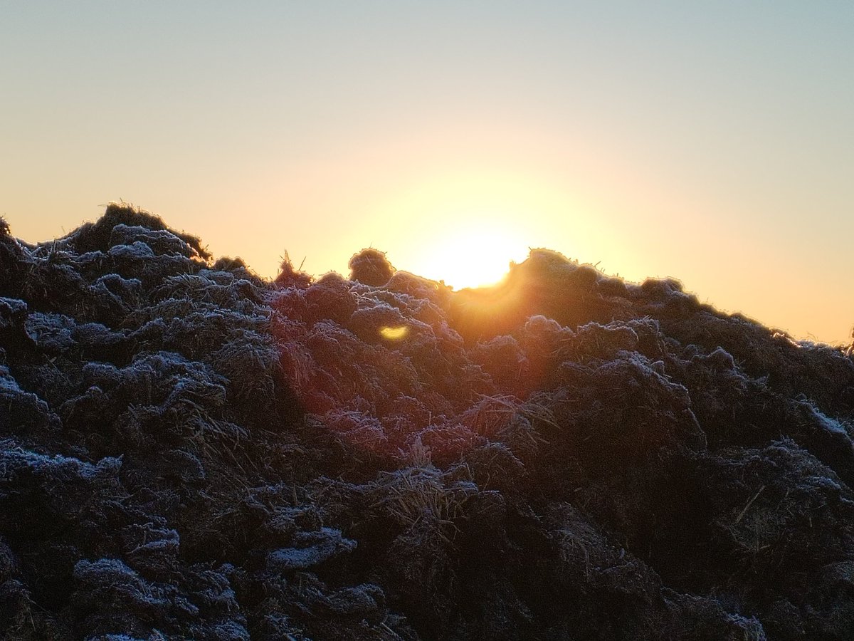 NikGrahamKevan's tweet image. It doesn't matter how big the pile of shit is the sun will still rise in the morning.