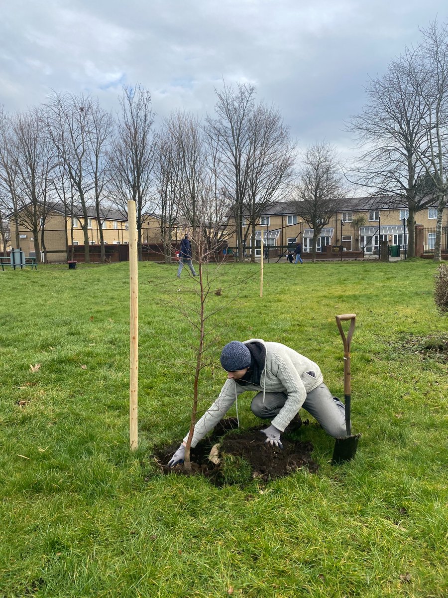SowtheCity's tweet photo. It is #NationalTree week!
Trees provide a range benefits to our ecosystems: providing shade, cleaning the air, combating cimate change, improving wellbeing, providing homes for wildlife and reducing flood risk.
This year we have planted 715 native whips and fruit trees! 🌳 https://t.co/fZOH8PfHwv