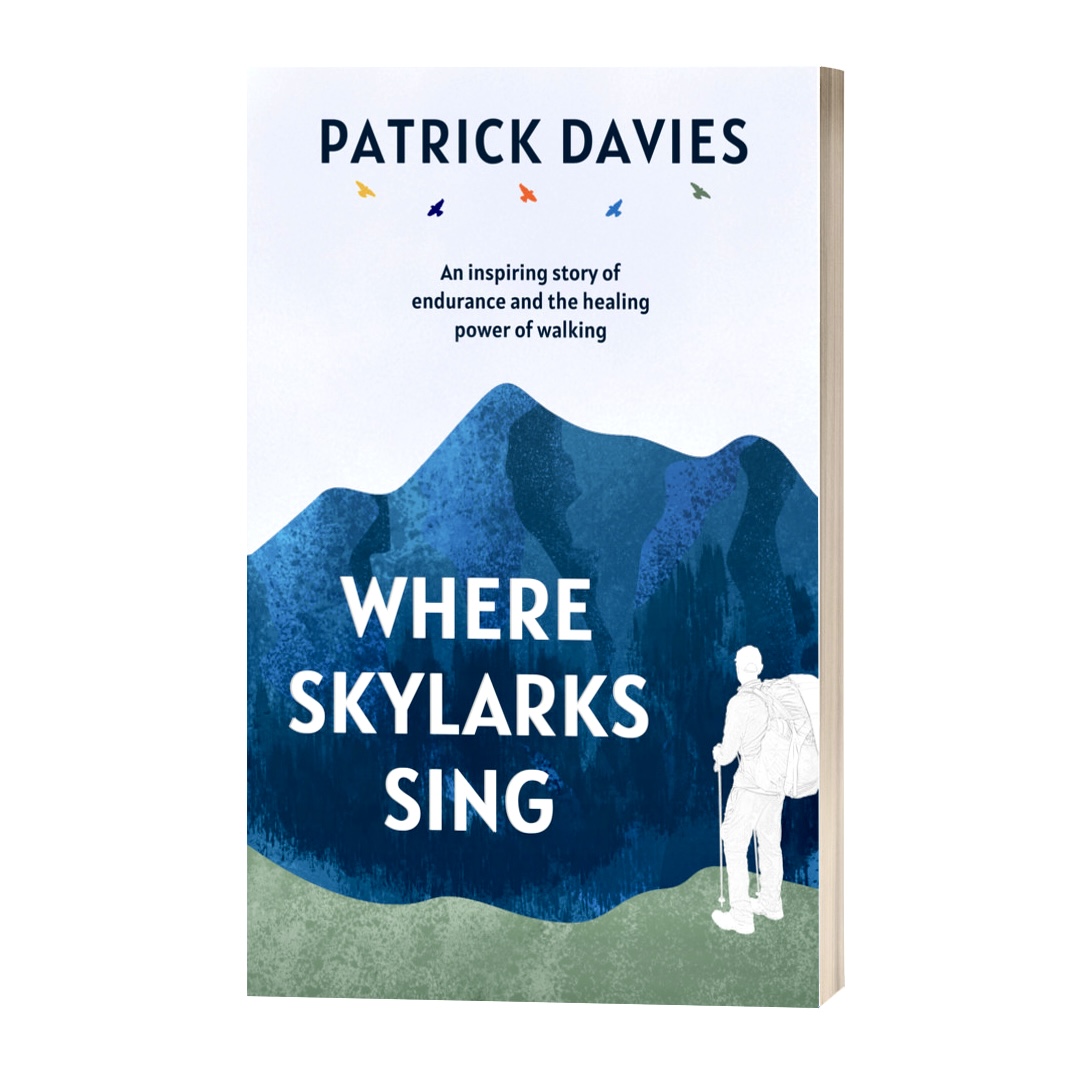 Patrick Davies tweet media
