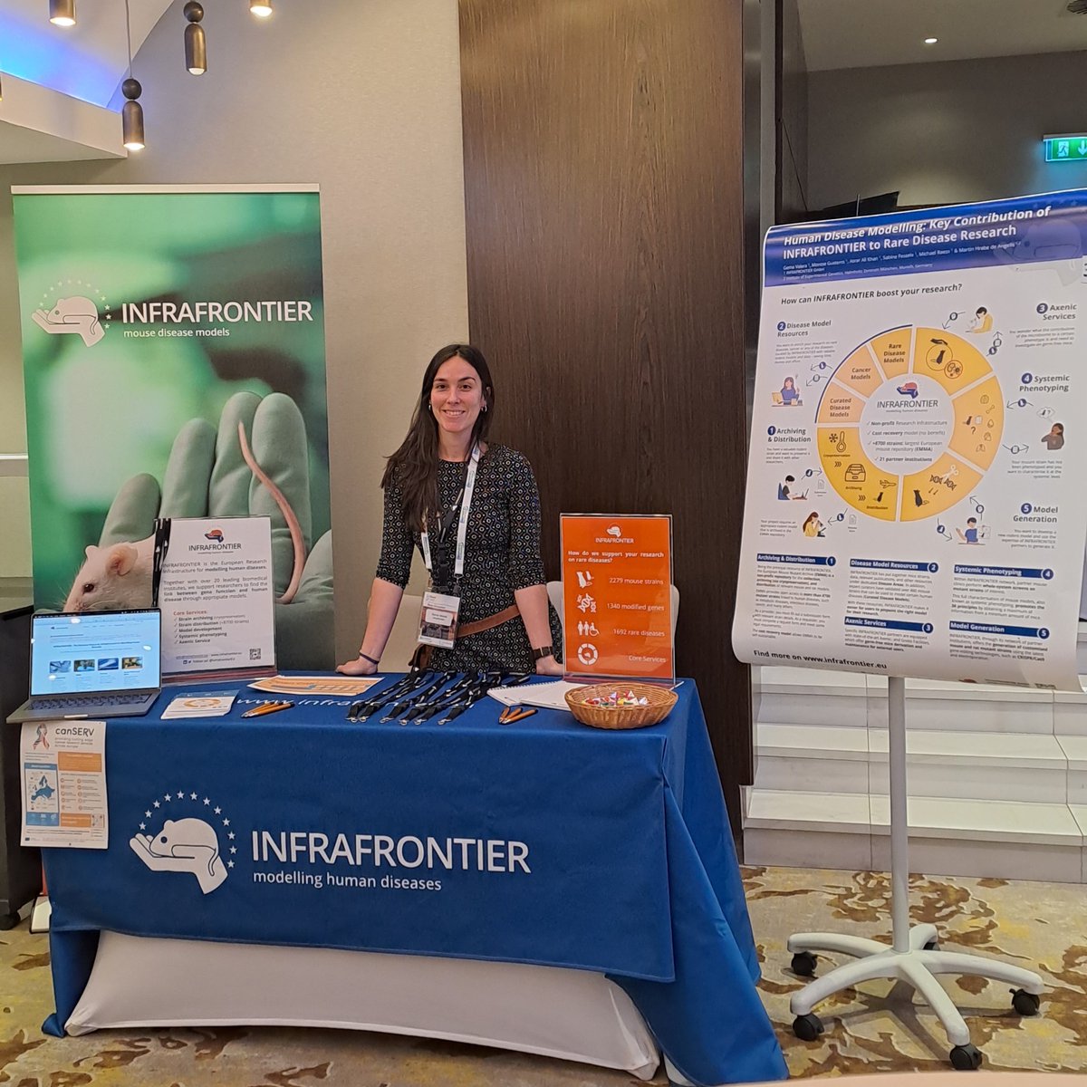 🏁We are reaching the halfway point of the second (and last🥺) day of #RARE2023, but here at booth and poster 33, INFRAFRONTIER 🤲🏻🐭 will continue to be at your service until the end. Stop by to learn how we can assist you in your research on #RareDiseases.
#EU_Ris #DiseaseModels