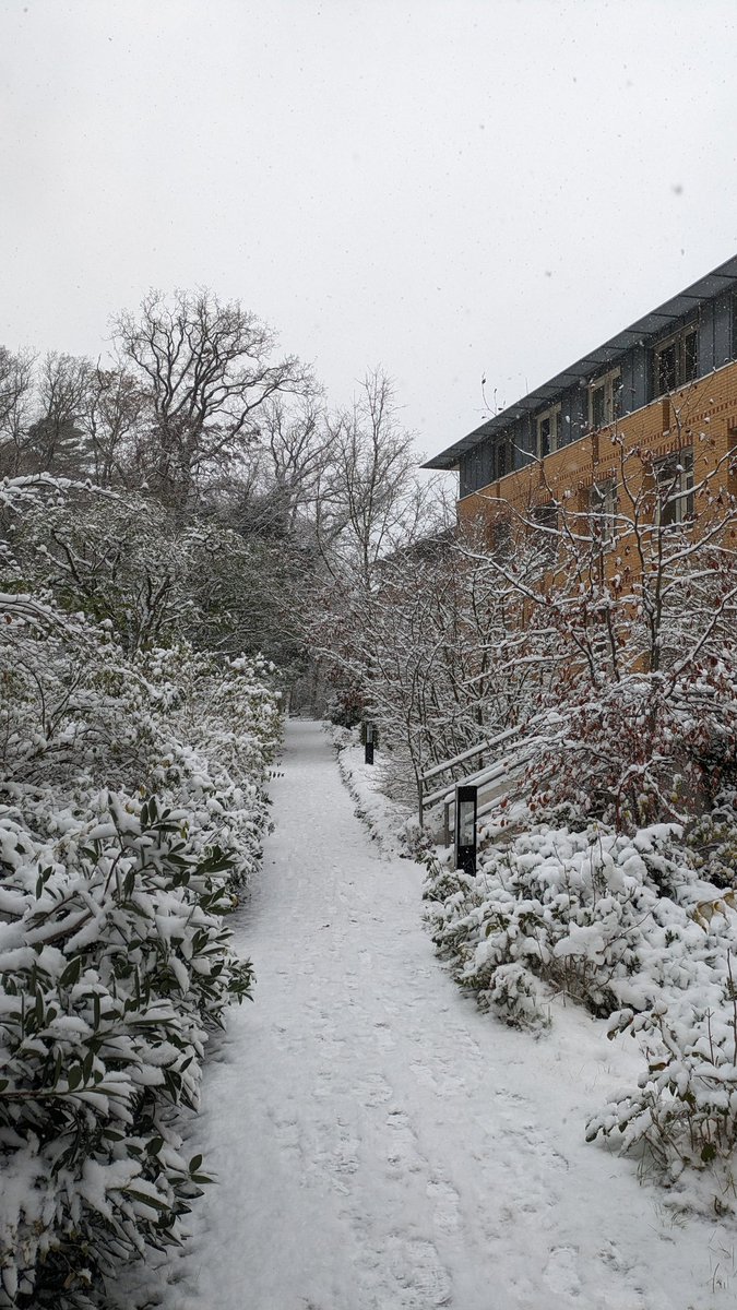 Snowy week on the hill
📍Telegrafenberg, Potsdam