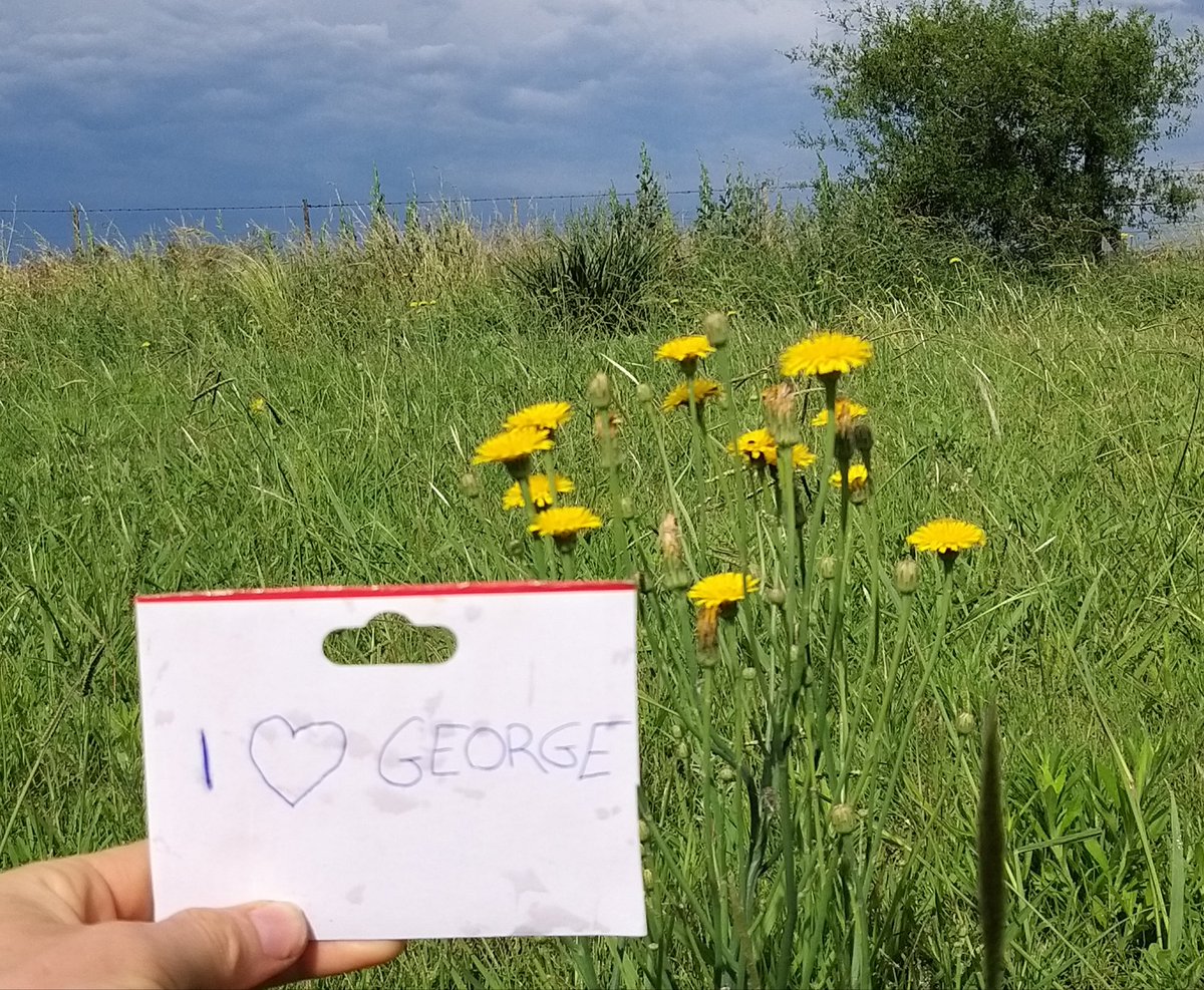 CryptoCurcumin's tweet photo. @George1Trader Done! https://t.co/XfeHLg1bzo