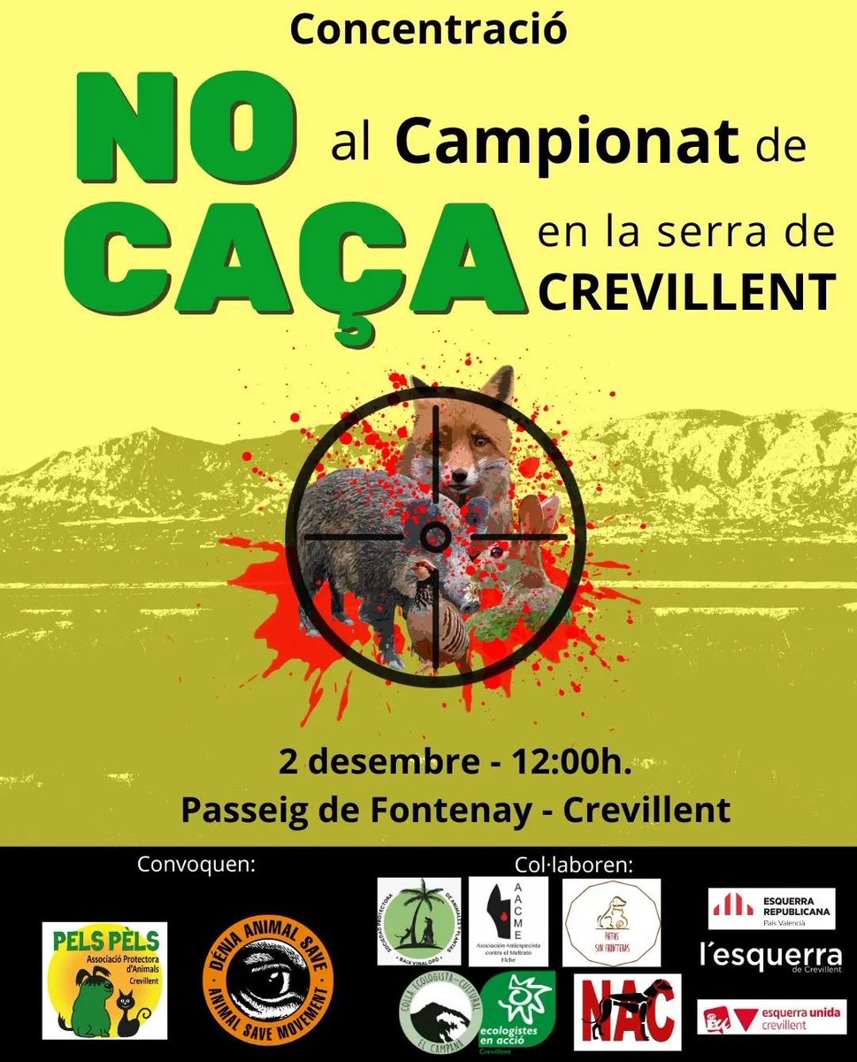lesquerracrevi's tweet photo. 👉 Demà, dissabte 2 de desembre, tenim una cita a les 12:00 al Passeig de Fontenay

🌱 Pel medi ambient
🦊 Pels animals
🧍 Per les que volem gaudir de la serra amb tot el seu esplendor i tranquil·litat

❌ Diem NO a la CAÇA a Crevillent, NO al campionat de CAÇA a la nostra serra! https://t.co/xdIm5QifqR