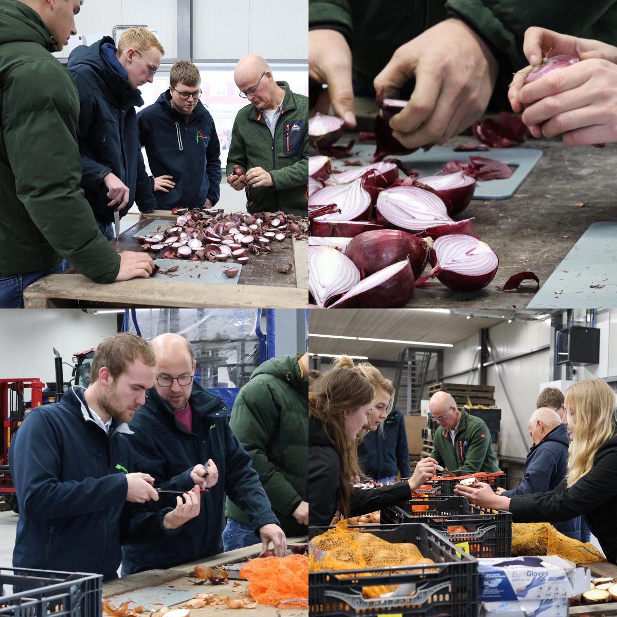 Studieclub Ui-nieke van <a href="/Profytodsd/">Profytodsd</a> kwam deze week bij De Groot en Slot op bezoek. Het was een interessante dag met verschillende onderwerpen: Uitdagingen in uien veredeling, dripirrigatie en fertigatie, een bezoek aan <a href="/BejoBenelux/">Bejo Benelux</a> en het snijden van hotbox monsters #kennisdelen
