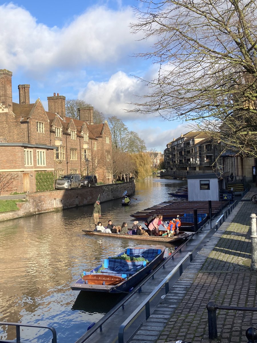 Marie Manikis tweet media