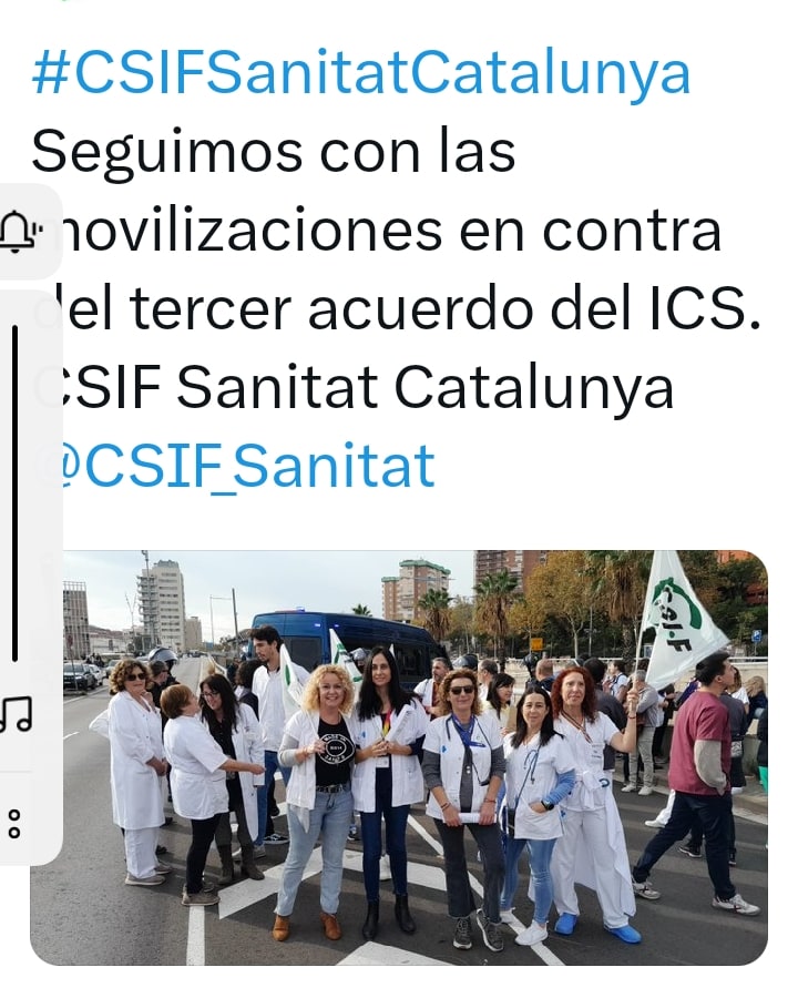 csiflleidaprimaria tweet media