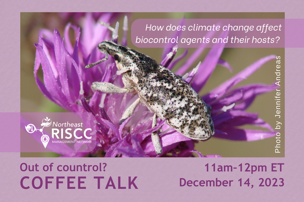 Northeast RISCC Network tweet media