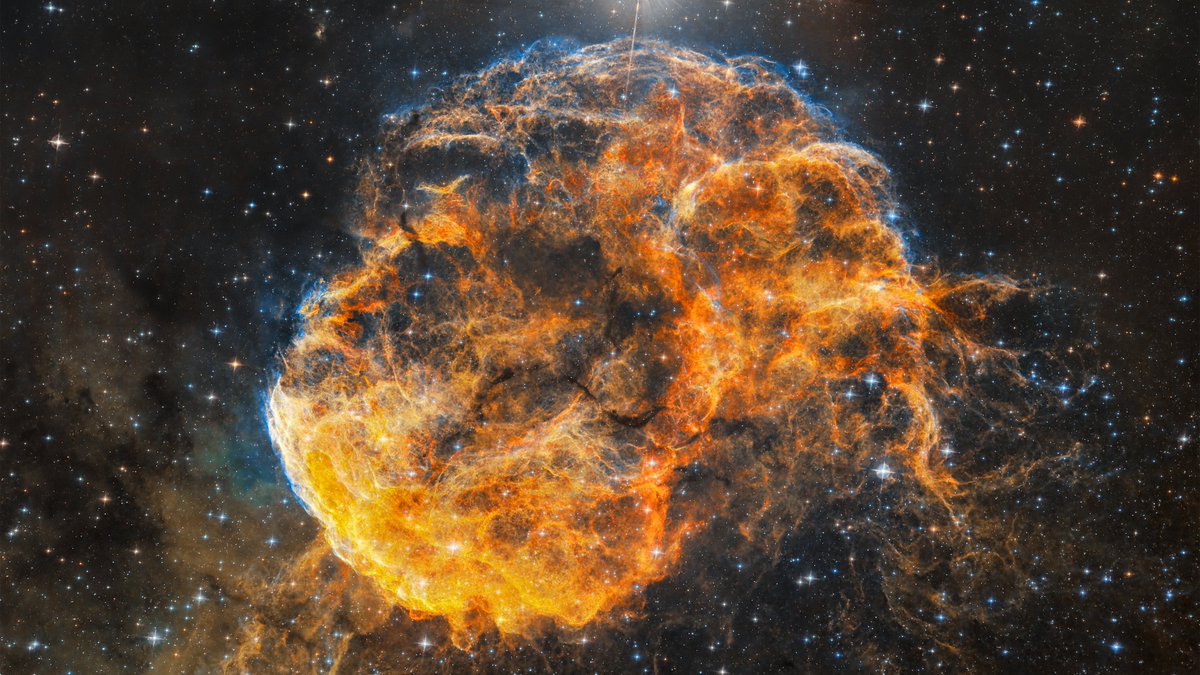 Here's a 4k photo of a dying star I captured using a 12" telescope in my backyard. Stars die incredibly violently but have such a unique beauty to them. 

The deeper you look, the more intricate details you see.