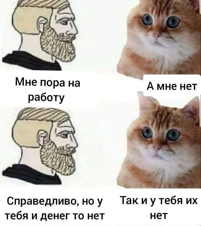 ужасные мемы (@liltonder) on Twitter photo 