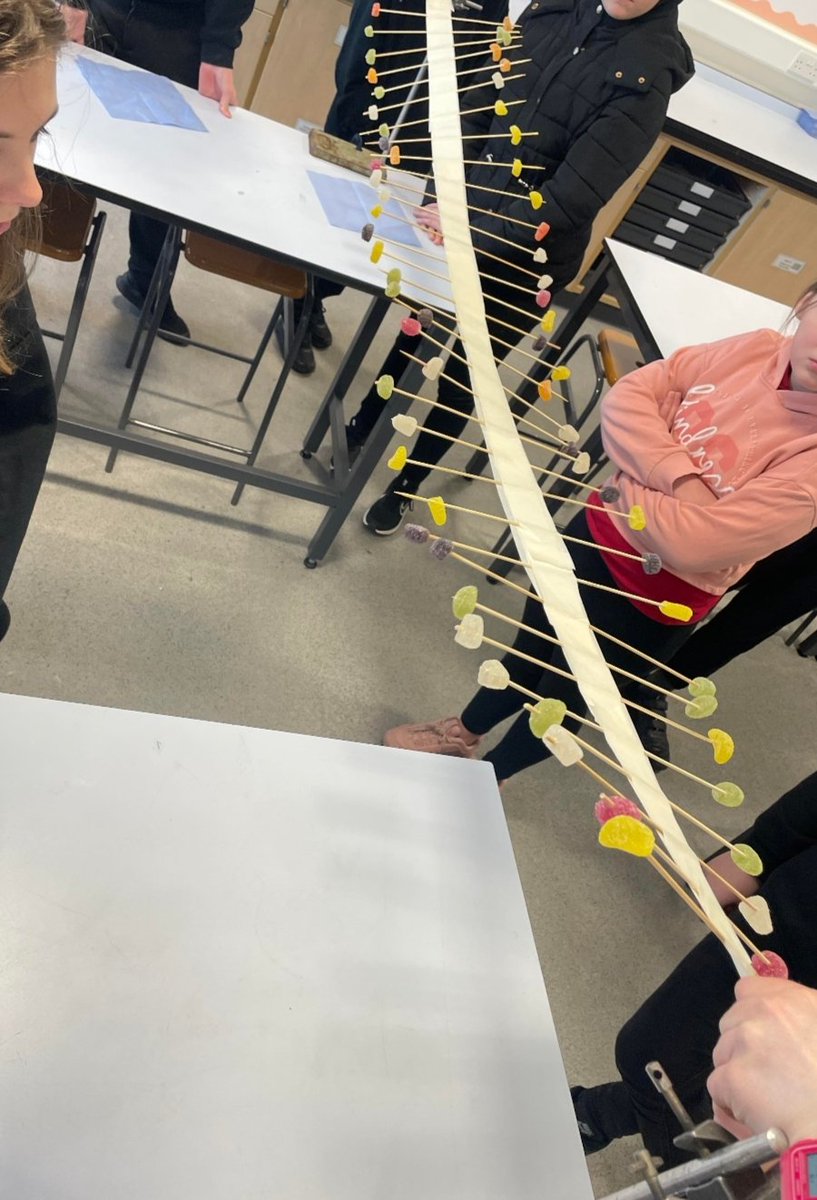 ELiveseyScience's tweet image. Today in science BGE learners explored how energy is transferred along our huge wave machine as part of our waves and vibrations topic @FraserburghAcad @Fraserburgh_ASL #practicalscience #wavemachine #STEM #teamwork