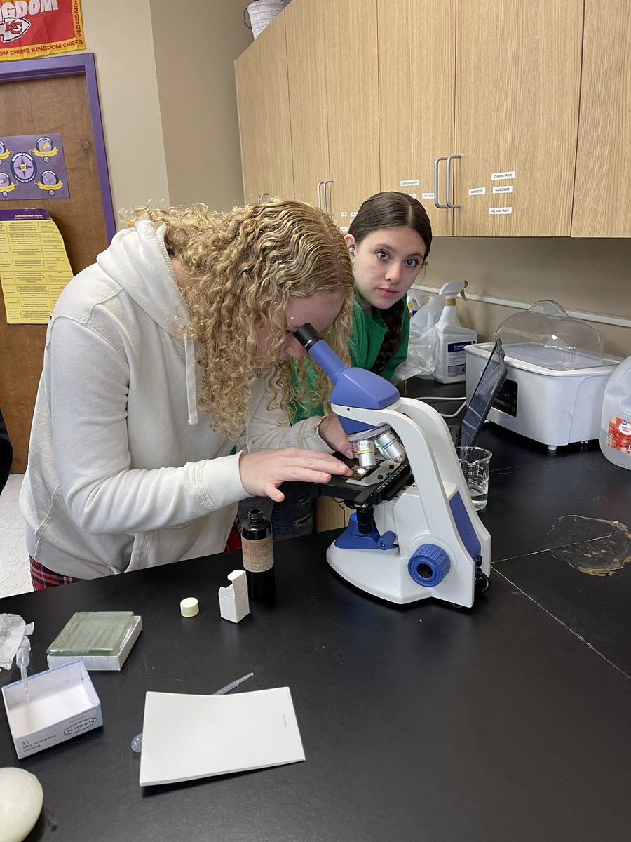MrsRegersRoom's tweet photo. Ag Science I students prepared wet mount slides and examined the structures of a plan cell https://t.co/l7vPSV5eNS