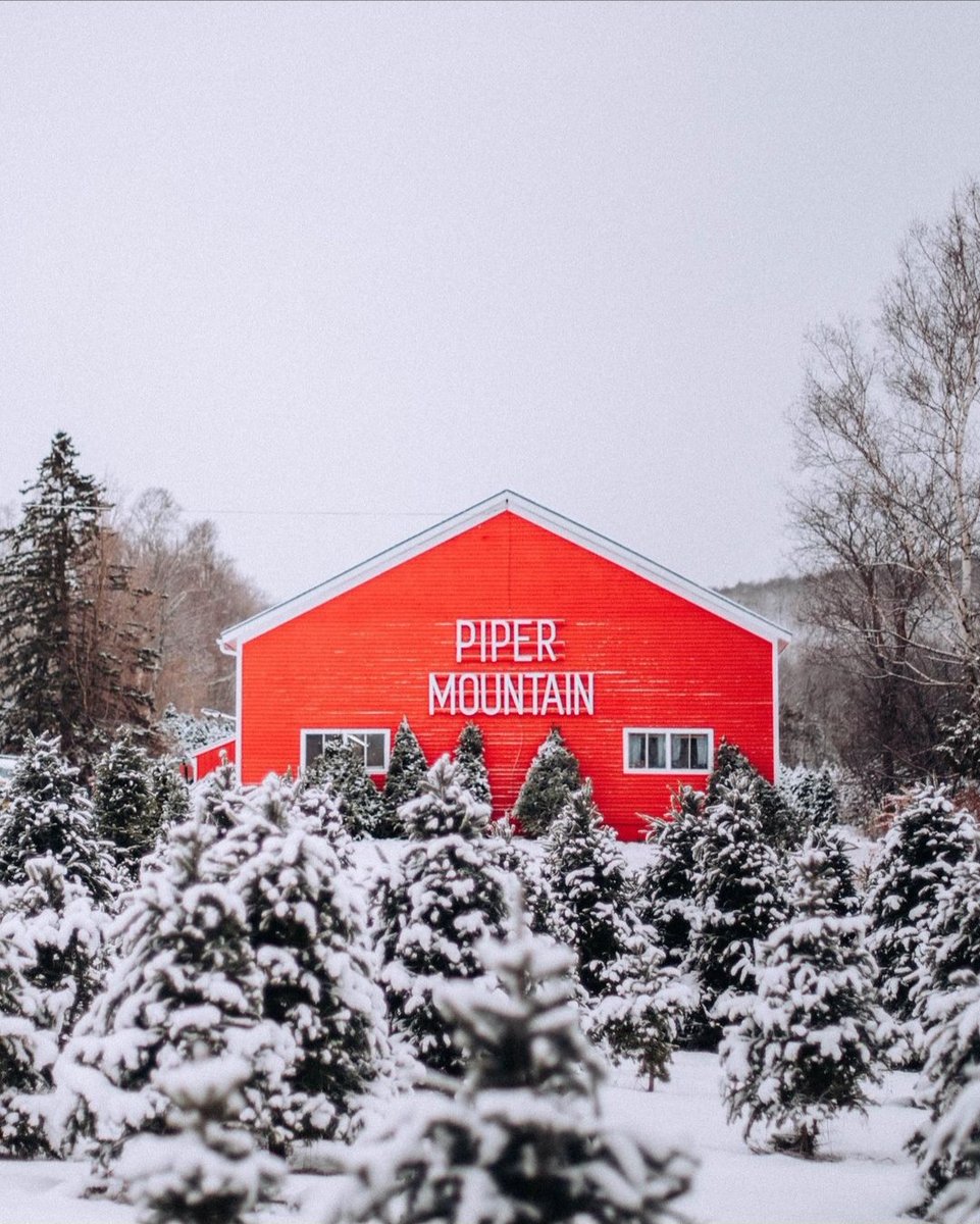visitmaine's tweet photo. December, you’re here. We’re ready for your festive fun! 🌲❤️❄️ #MaineThing #FirstDayofDecember 

📸 via Instagram: beekayphoto (https://t.co/wscyTQB0Jb)
📍: Piper Mountain Christmas Trees, Newburgh https://t.co/Pb2hJFEc1m