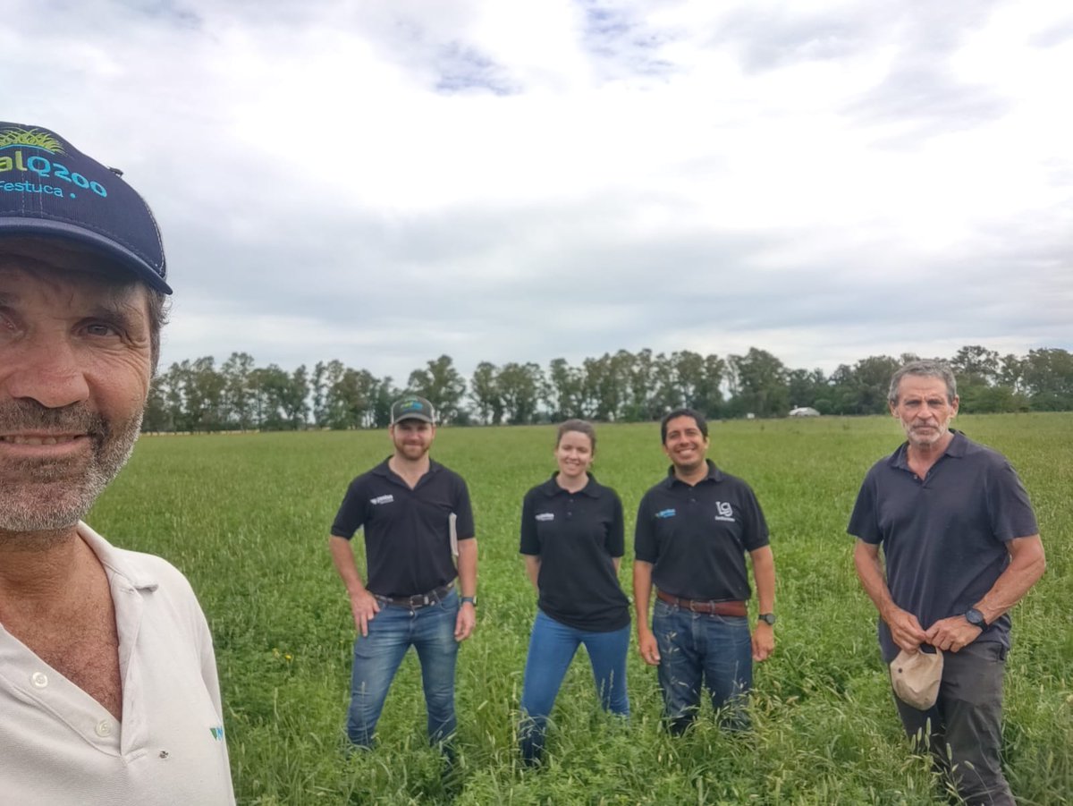 Craneando nuevas ideas