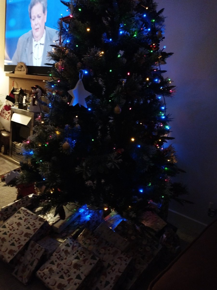 Renny0393081072's tweet image. I smell the Christmas.#Christmas2023 #imnotshort