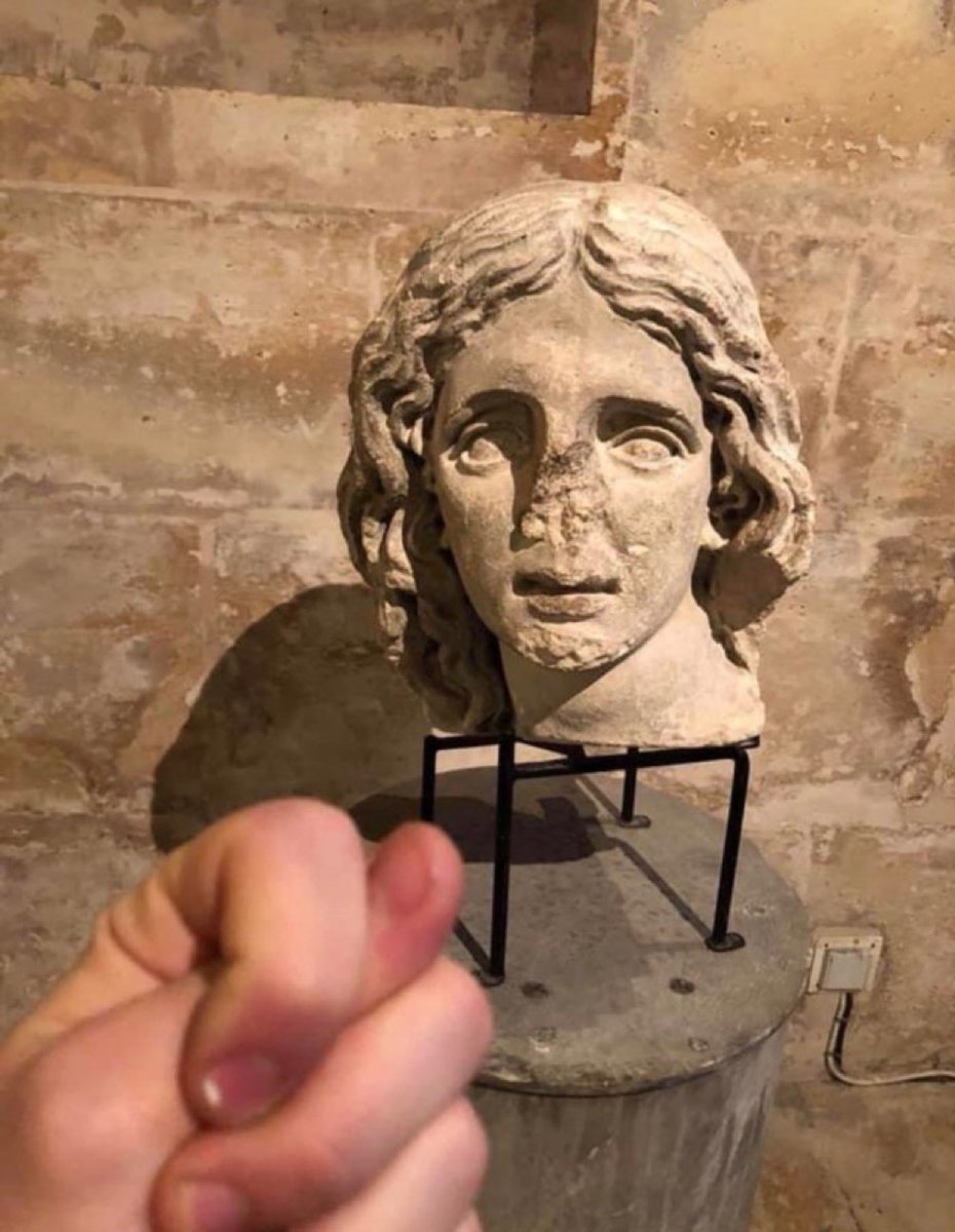 Out of Context Human Race (@nocontexthumans) on Twitter photo 