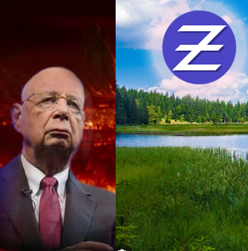 What would you choose anon? #CBDCs  $zeph #blockchain #defi #Crypto