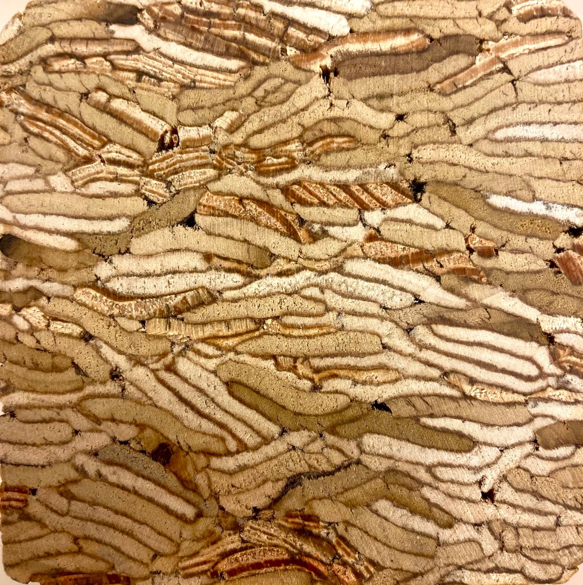 Ricker Library tweet media