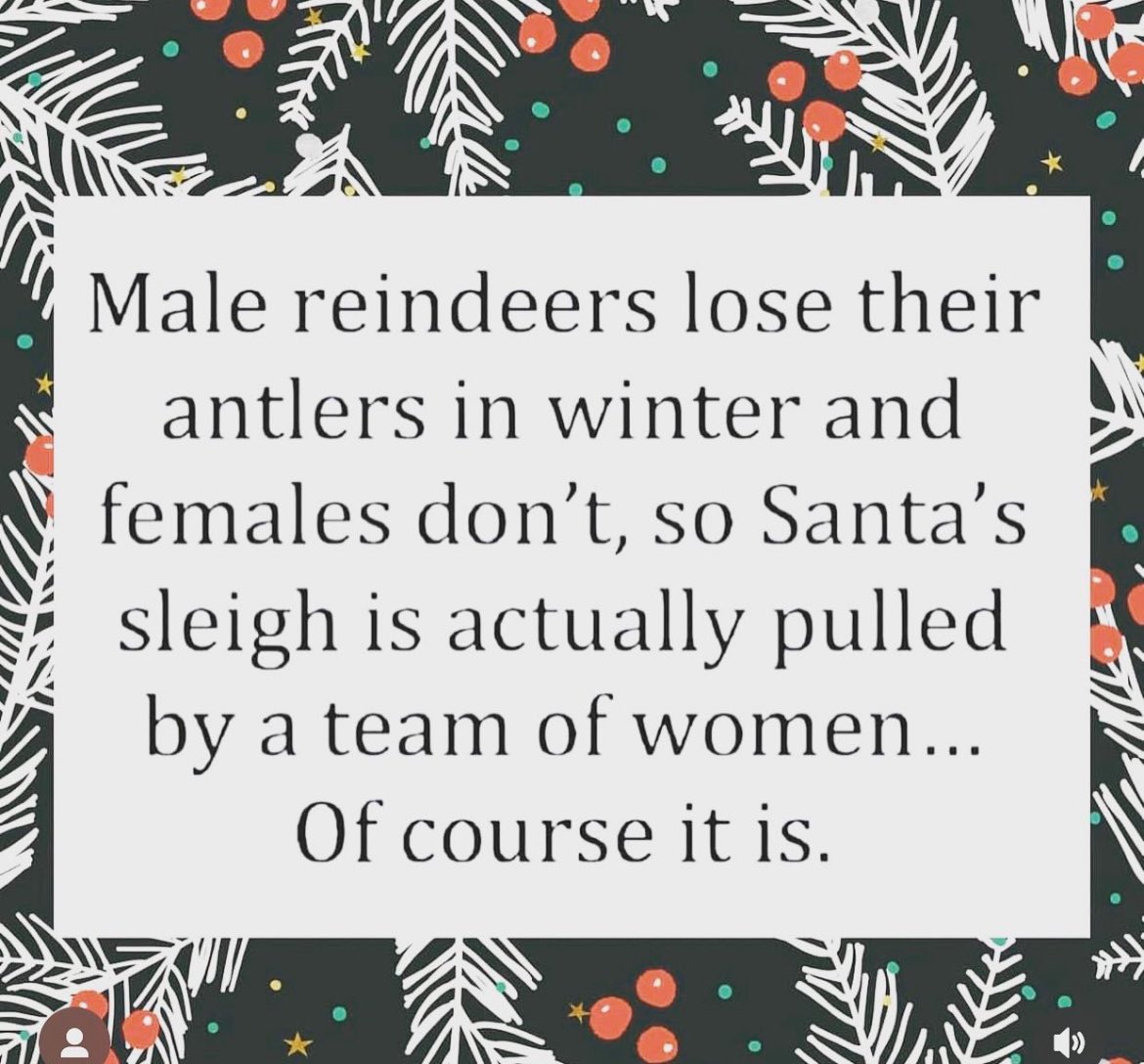 MissCryptoBeast tweet media