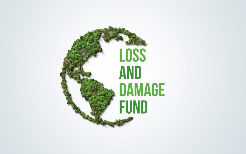 Concern Global Citizenship tweet media