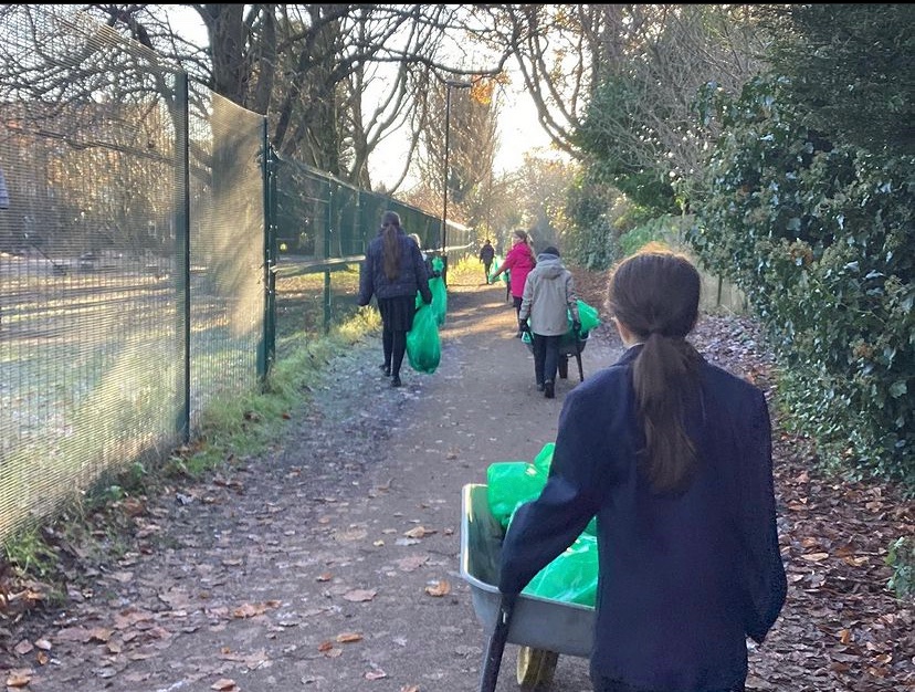 Friends of Lime Tree tweet media