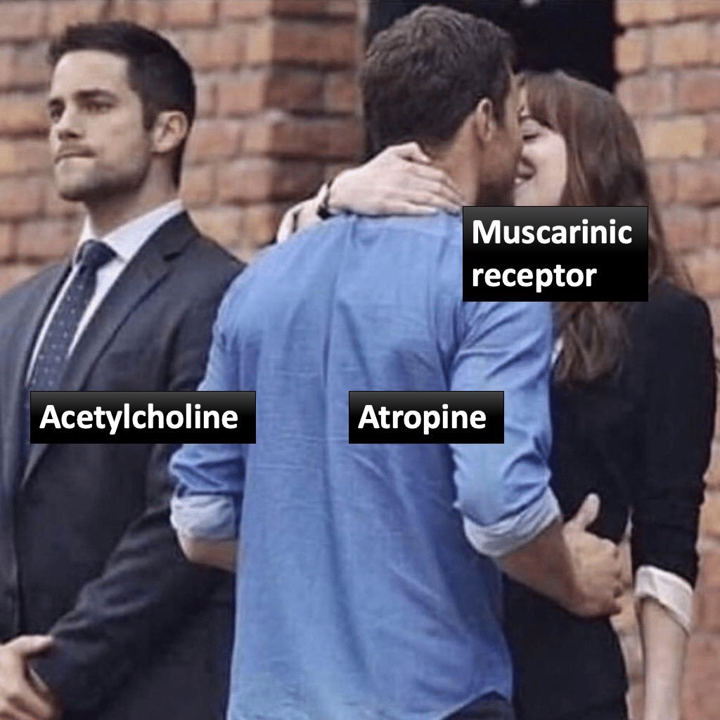 simplify_drugs's tweet photo. Acetylcholine is feeling the 🔥 https://t.co/jRkOErNCvk