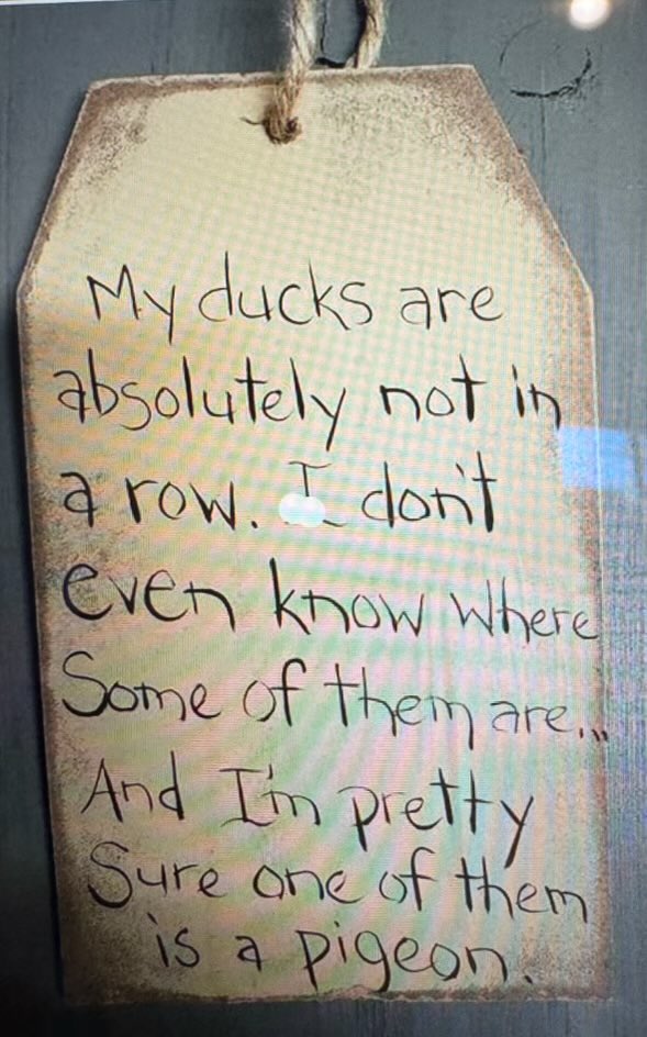 “Ducks are only in a row when in motion” – Isaac Newton