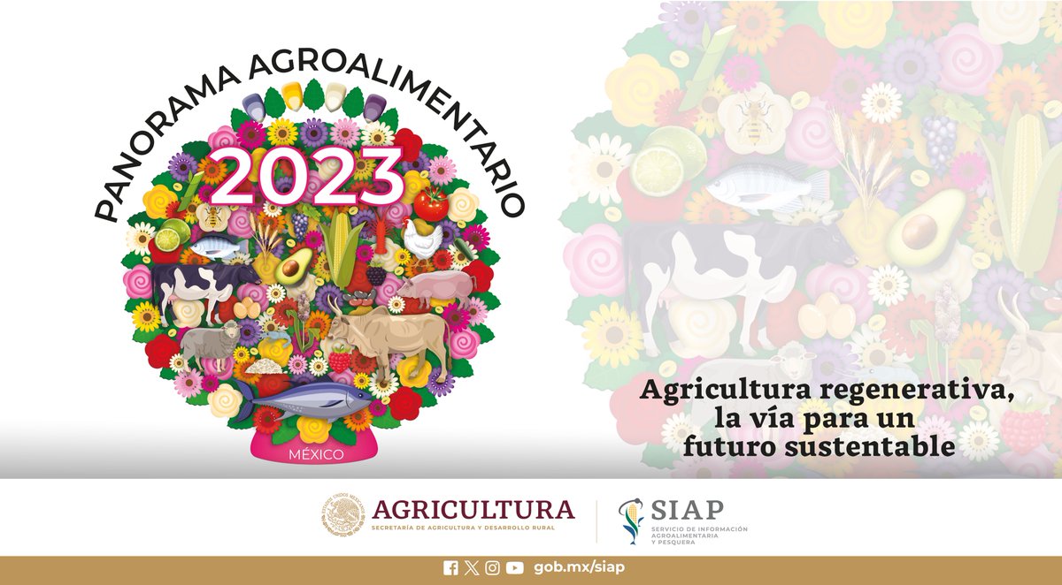 DGSIAP_Mx's tweet photo. Conoce las estadísticas de los 𝟳𝟱 𝗽𝗿𝗼𝗱𝘂𝗰𝘁𝗼𝘀 𝗮𝗴𝗿𝗶́𝗰𝗼𝗹𝗮𝘀, 𝗽𝗲𝗰𝘂𝗮𝗿𝗶𝗼𝘀 𝘆 𝗽𝗲𝘀𝗾𝘂𝗲𝗿𝗼𝘀 más importantes para nuestro nuestro país a través del #PanoramaAgroalimentario2023   

👉 https://t.co/6v63rIrGuj  

#AgriculturaMexicana  
#FelizSabado https://t.co/h4kKC7KTxG