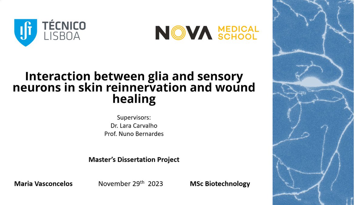 tri_lab_AJ's tweet image. This week, our master’s student Benedita defended her thesis untitled “Interaction between glia and sensory neurons in skin reinnervation and wound healing”. Benedita was supervised by @laracjcarvalho and Rita Teodoro.

Congratulations Benedita!