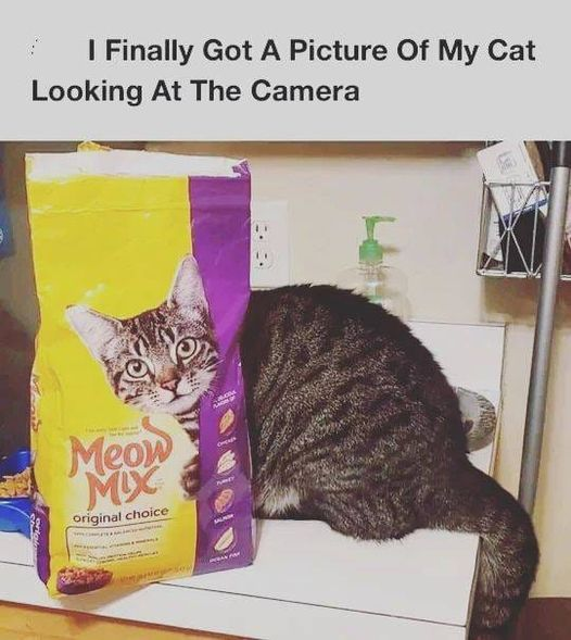 np_awesome's tweet photo. ahaha https://t.co/GpJ10ZRxNM