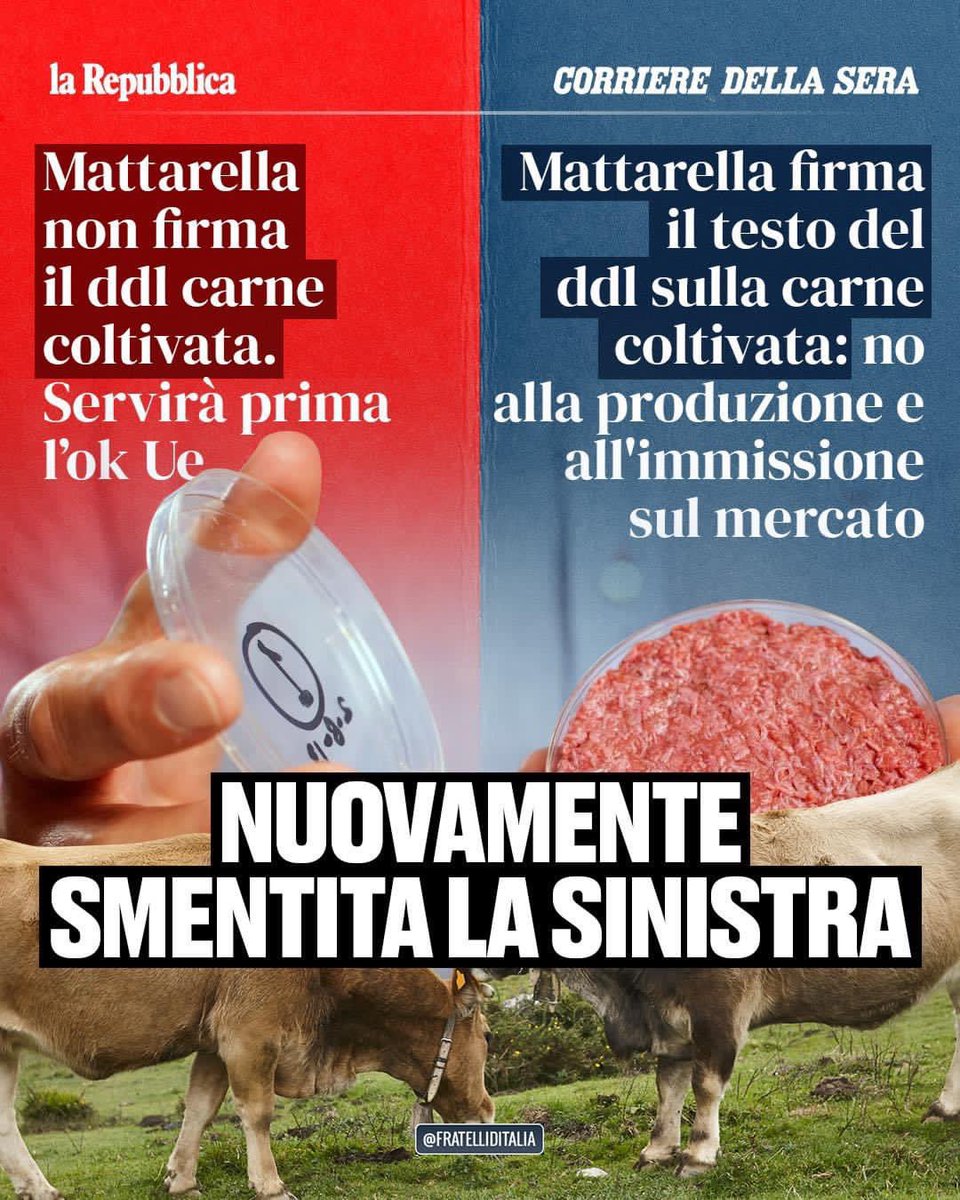 🔵 Il ddl che proibisce la produzione di carne sintetica in Italia è legge: continuiamo a tutelare la salute dei cittadini e a proteggere i nostri prodotti e la nostra cultura alimentare.