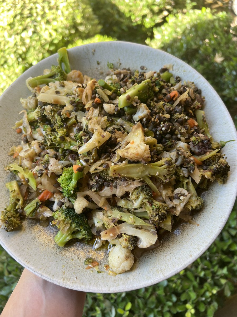 Bryan Johnson (@bryan_johnson) on Twitter photo <a href="/SolBrah/">โก๏ธ๐ Sol Brah ๐๐ฌ</a> Let us eat.
Broccoli, cauliflower, black lentils, garlic, ginger, hemp seeds, extra virgin olive oil, dark chocolate and fermented cabbage and carrots. <a href="/SolBrah/">โก๏ธ๐ Sol Brah ๐๐ฌ</a> Let us eat.
Broccoli, cauliflower, black lentils, garlic, ginger, hemp seeds, extra virgin olive oil, dark chocolate and fermented cabbage and carrots.