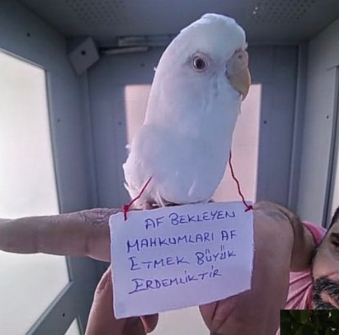 Affedin ŞansVerin Yaşasınlar
<a href="/dbdevletbahceli/">Devlet Bahçeli</a> <a href="/RTErdogan/">Recep Tayyip Erdoğan</a> <a href="/yilmaztunc/">Yılmaz TUNÇ</a>  yaşam hakkı için, toplumsal barış için, haksız yere dört duvarda kapalı kalan Gencecik fidanlarımiz için AF İSTİYORUZ