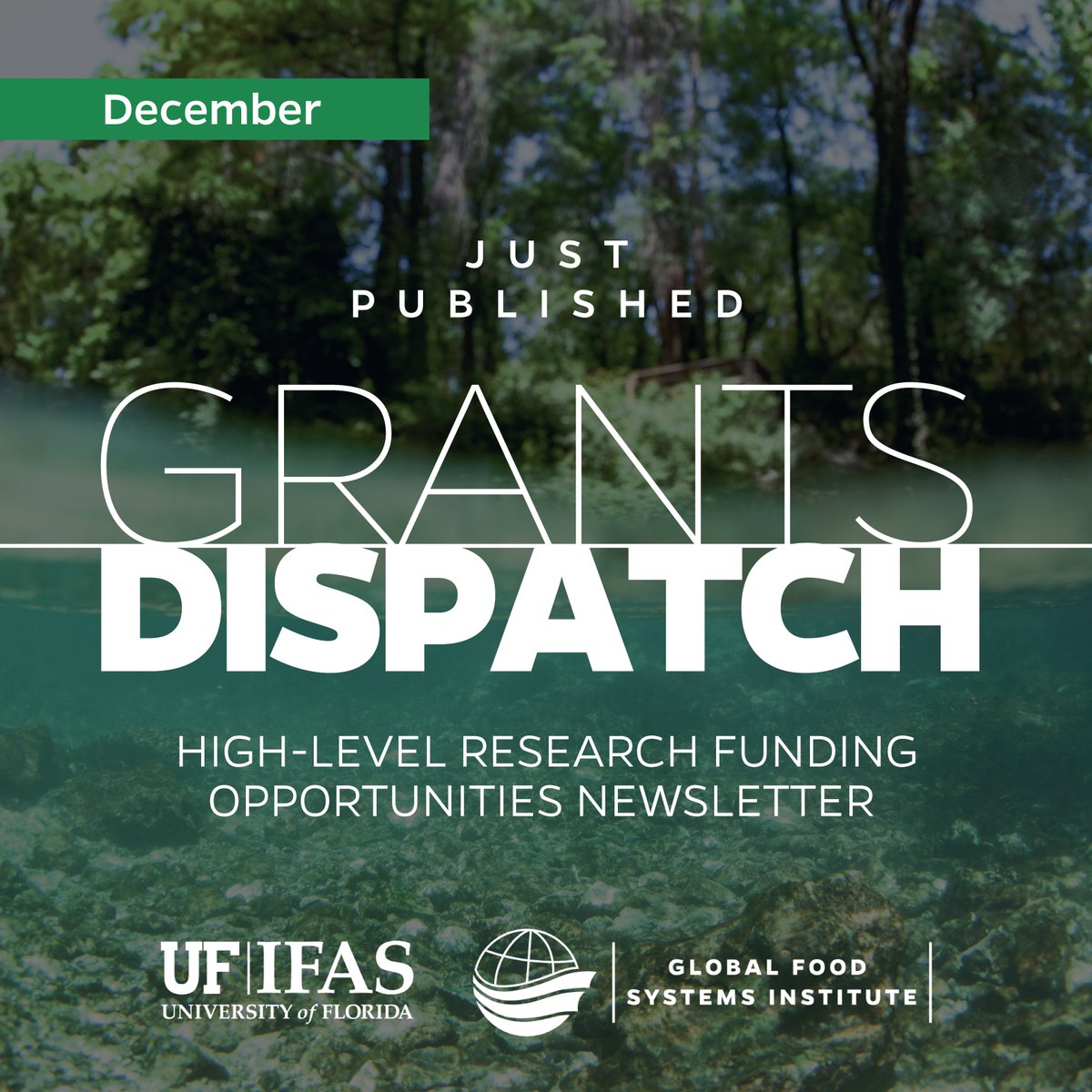 We have a new and loaded Grants Dispatch for December! 

Check all the funding opportunities we have curated for you, click below

mailchi.mp/ifas.../grants…

#GFSI #IFAS #Funding #InternationalResearch #USDA #NIFA #NSF #USAID