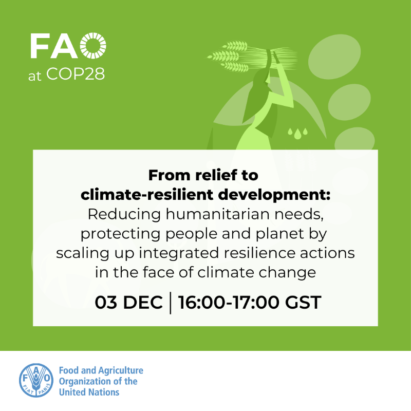 FAO in Emergencies (@faoemergencies) on Twitter photo 📌 #HappeningToday
🕑 16:00-17:00 GST
At this #COP28 High Level event co-led by <a href="/FAO/">Food and Agriculture Organization</a>-<a href="/WFP/">World Food Programme</a>, Heads of State, govt reps, international institutions, and more, will share lessons and calls to action, especially for climate vulnerable or fragile contexts.
bit.ly/3N6czZ6 📌 #HappeningToday
🕑 16:00-17:00 GST
At this #COP28 High Level event co-led by <a href="/FAO/">Food and Agriculture Organization</a>-<a href="/WFP/">World Food Programme</a>, Heads of State, govt reps, international institutions, and more, will share lessons and calls to action, especially for climate vulnerable or fragile contexts.
bit.ly/3N6czZ6