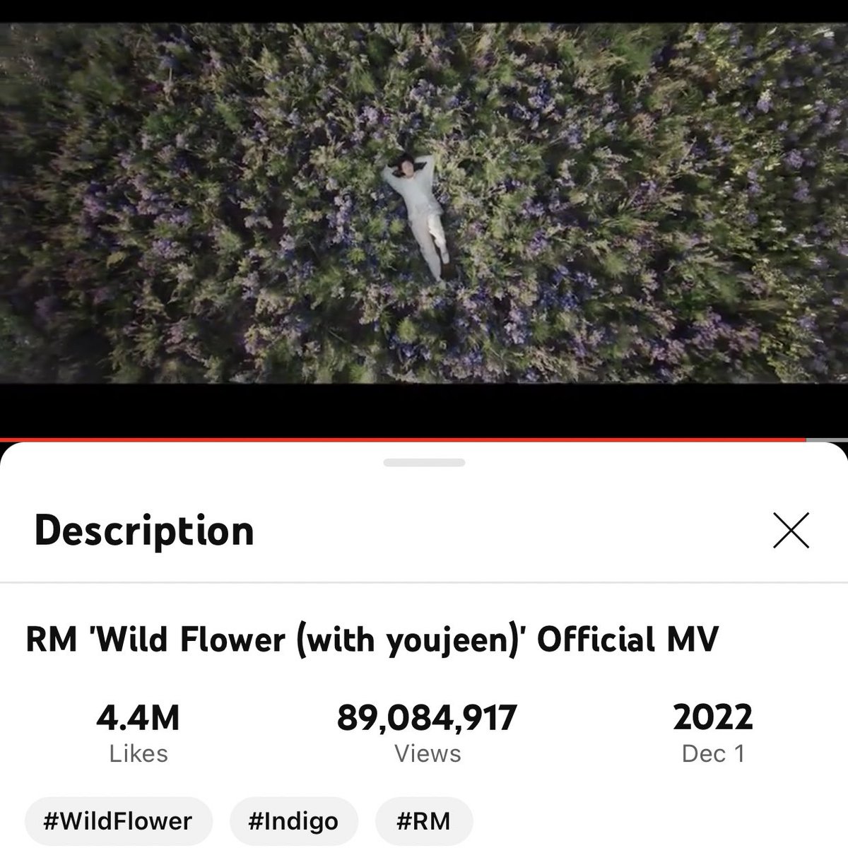 🐨🤍💙

#남준아_Indigo_1주년축하해
#Indigo1stAnniversary
#남준이_들판에_놀러간지_1년
#RM_청춘모음집_Indigo_1주년
#남준아_20대를_선물해줘서_고마워
#불꽃에서_들꽃으로_함께한_1주년
#더_깊어진_색바램_indigo_1주년
#스물아홉까지의_남준_1집_indigo
#오늘도_놀러왔어_너의_들판에