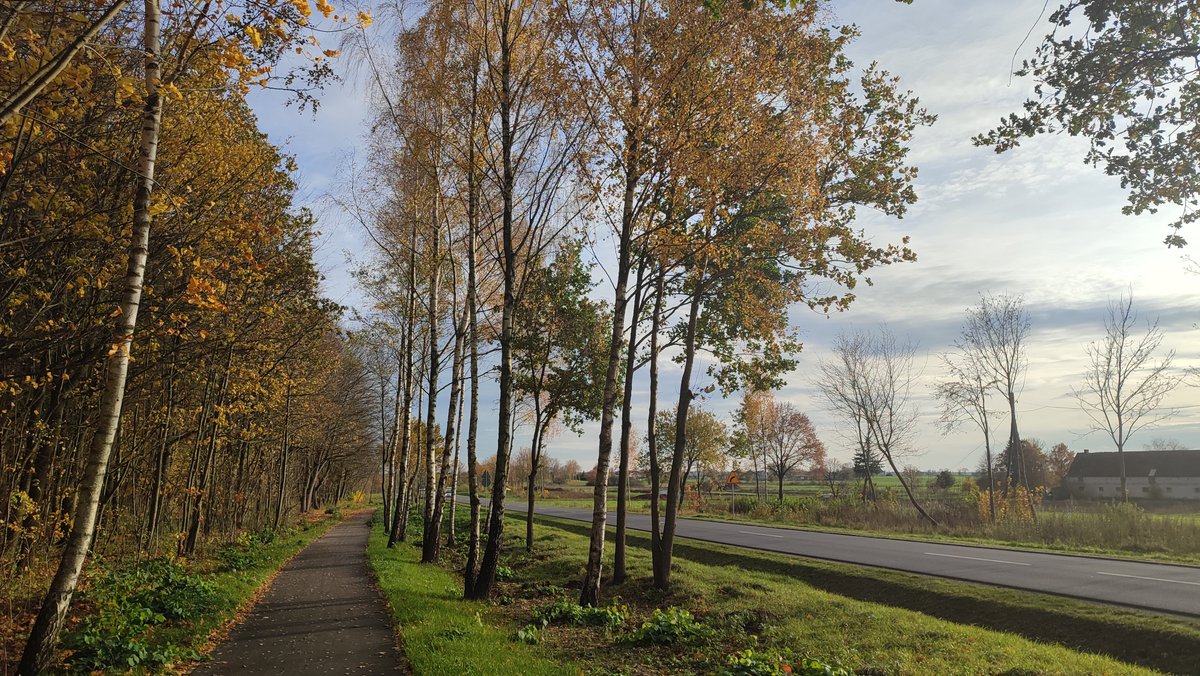 📷 Wikimedia Commons has crossed the 100,000,000 media files mark! The milestone was achieved with this photo of trees next to a road in Poland, by User:Marcinekk2, under a CC BY-SA 4.0 license. Learn how you can contribute to Wikimedia Commons: w.wiki/azV