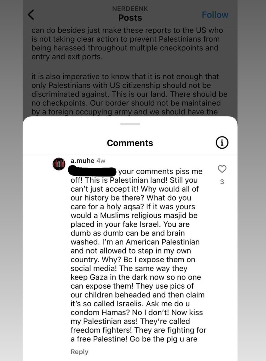 StopAntisemites's tweet photo. “No I don’t [condemn Hamas]. Now kiss my Palestinian ass. They’re called freedom fighters. Now go be the pig u are.” - Amna Muheisen, (commenting to a Jewish IG user), ABA therapist who works with children https://t.co/WYQuDUIbWP
