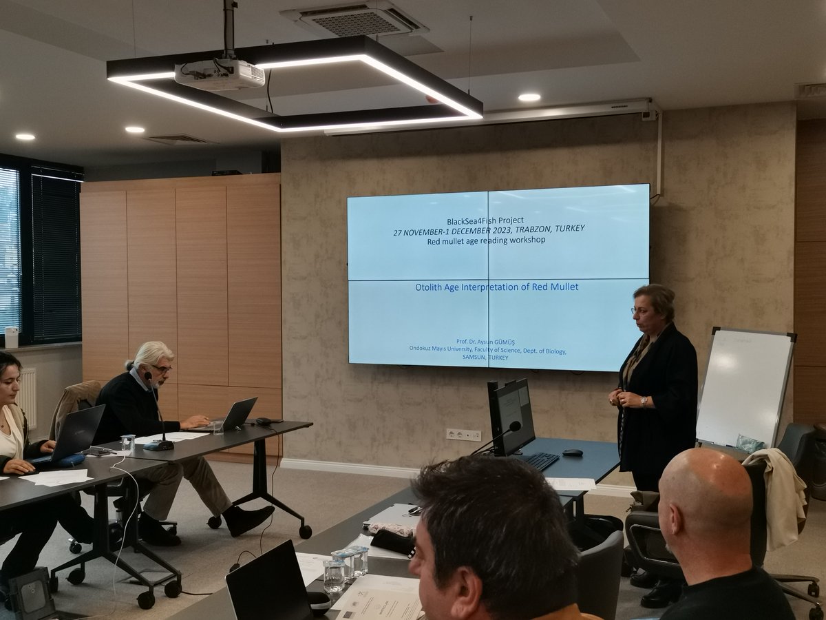 General Fisheries Commission for the Mediterranean tweet media