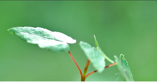 Our Eden Catalyst funding for educational enhancement at LSE remains open - and you can apply for our special Spotlight Fund for work on Student Voice until 5 January! Don't miss out - details and application route here: info.lse.ac.uk/staff/division…