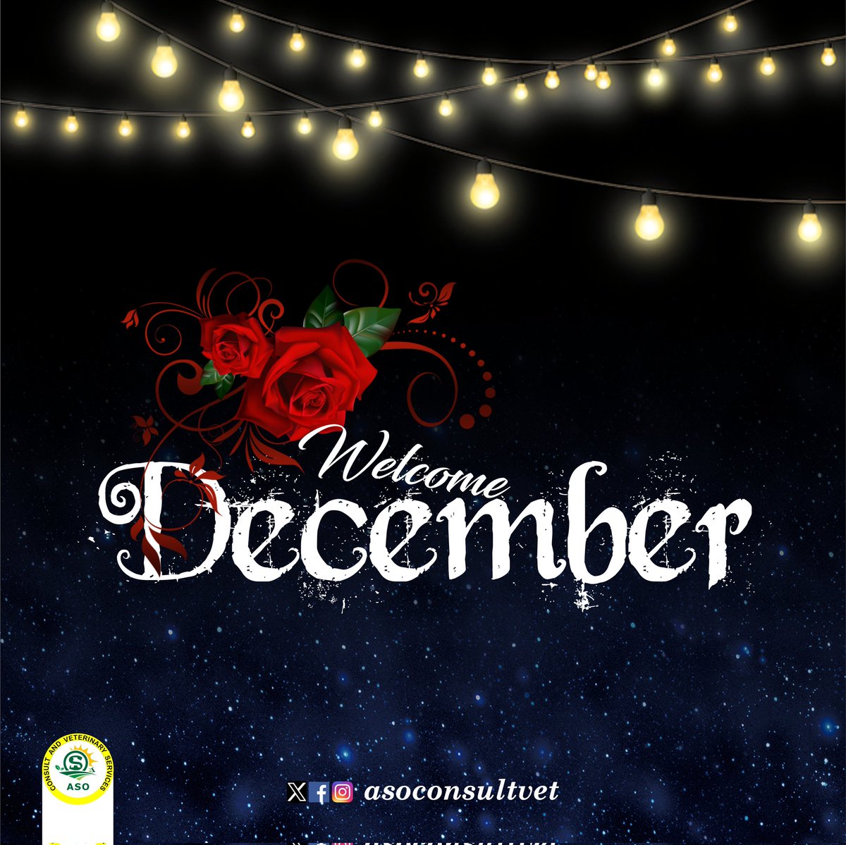 We finally made it to the last month of the year...May happiness and success be our portion this month...Happy new month...
#Animal #asoconsultvet #agriculture #livestock #farming #agricbusiness #poultry  #NewMonth #December2023 #HappyNewMonth