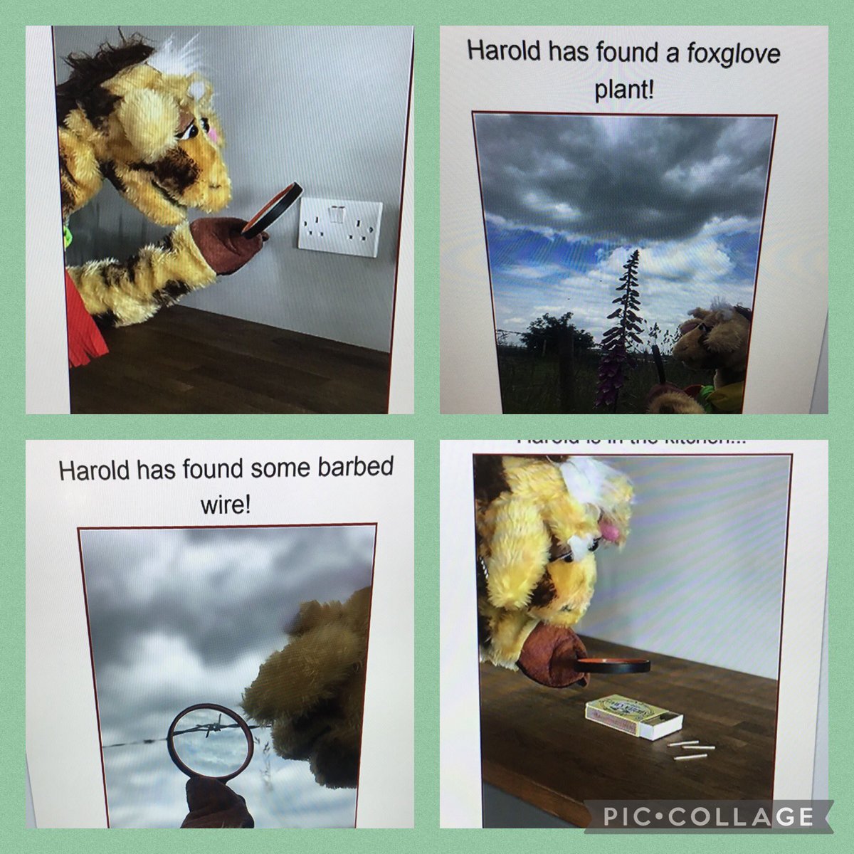 CuddingtonPri's tweet photo. This afternoon in our Personal Development lesson, Chaffinches learnt about keeping safe inside and outside. #cuddingtonpd #createlearning https://t.co/NQsNLi3LNo