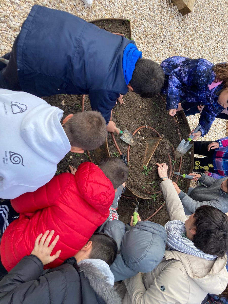 CEIP Raimundo de Miguel tweet media