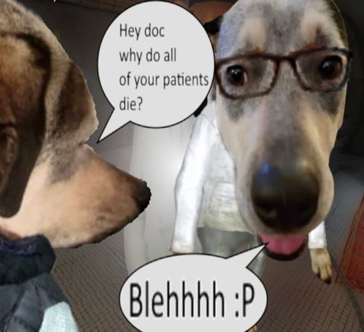 😵‍💫 nctdreapenis7 saw twice in denver tweet media